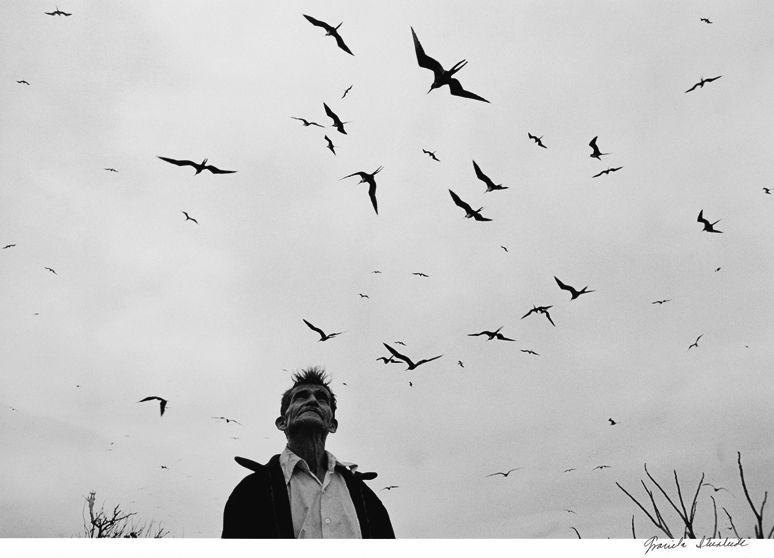 Photo 'Senor de los Pajaros' (1984) by Graciela Iturbide; based on a recurring dream.