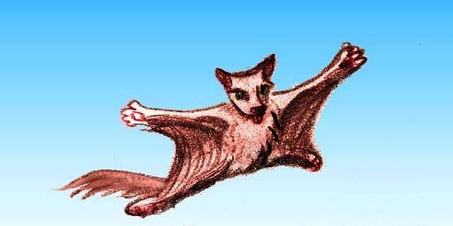 Sketch of a gliderwolf in the air; a reddish coyotelike creature gliding on skin flaps like a giant flying squirrel. Gliderwolves are natives of the abyssal canyons of Siphonia, an alternate Earth with 90% of its water removed.
