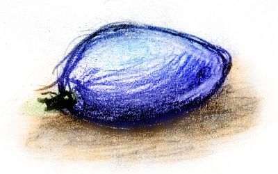 Sketch of a dream by Wayan: a huge blue barberry or Oregongrape that appeared from nowhere on my floor.