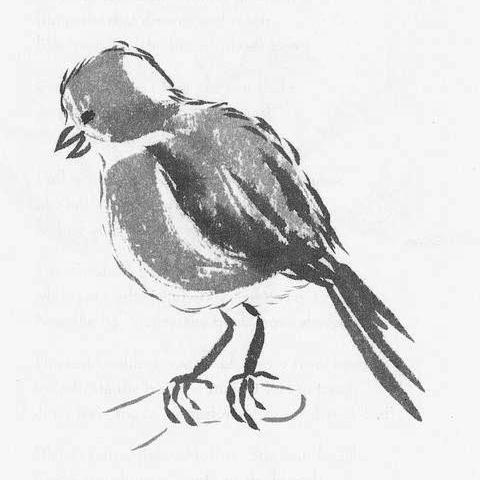 Spirit Bird; dream watercolor by Patricia Garfield.