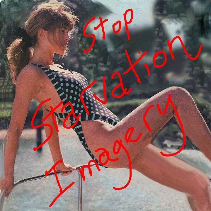 Model in swimsuit leans on railing; scrawled red words say 'Stop Starvation Imagery!'