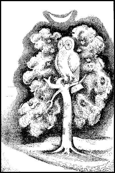 Crosshatched ink sketch of an owl in a tree at night, by Michael Rothenstein, illustrating a dream by Nancy Price.