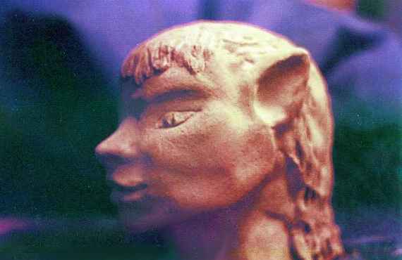 Head of a dryad, with feline eyes and pointed ears; terra-cotta sculpture. Forest in background. Dream figure by Wayan.