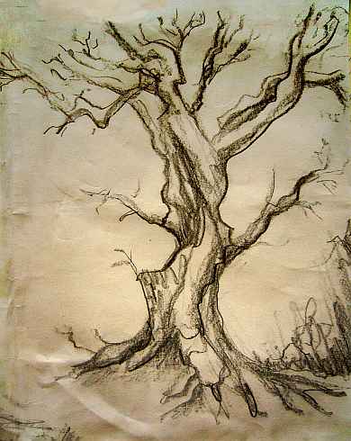 Telepath tree in winter. Dream sketch by Wayan.