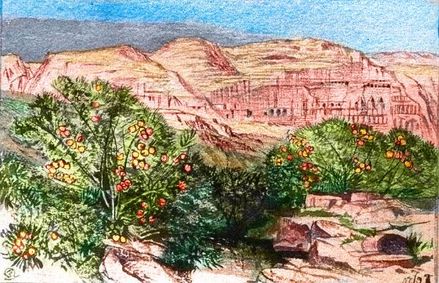 A sketch of a flyote cliff as seen from the orchards on the floor of Dor Trench on Tharn, a small, dry, rather Martian world. Based on a watercolor sketch of Petra by Edward Lear.
