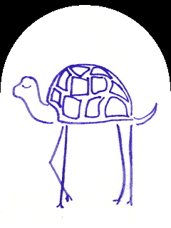 a turtle with long elegant legs