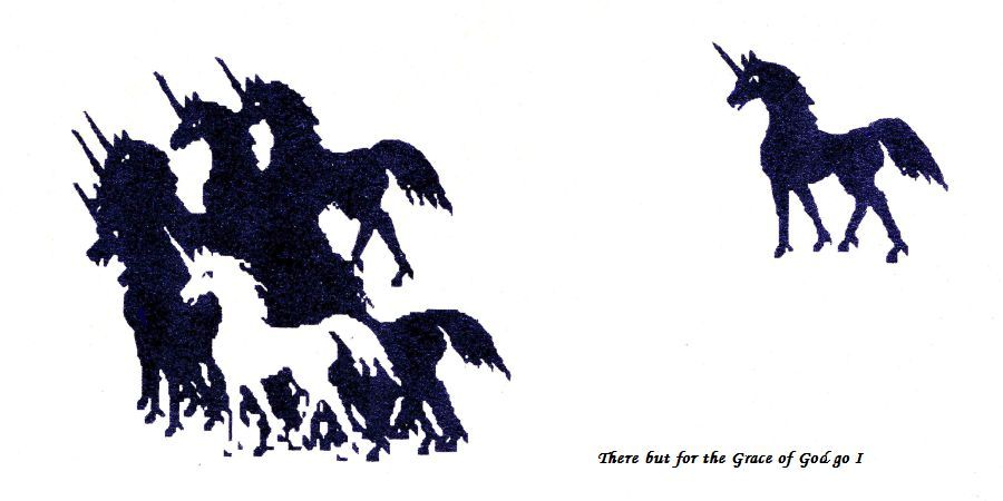 Black unicorn herd with one stray, leaving a white unicorn-sized hole. Caption: 'There but for the grace of God go I.'