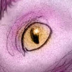 Golden slit eye of a Formcatcher. Dream sketch by Wayan.