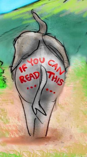 Sketch of elephant with safety warning on butt: 'If you can read this you're too close.' Native of Venus after terraforming