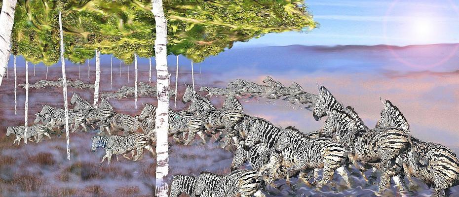 herd of zebras flows out of a lake; dream image by Alan Underwood. Click to enlarge.