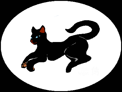 Dream: our black cat Persephone talks in my dreams.